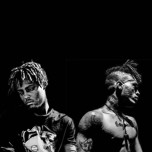 Meet your Posher, Gavin - Picture 1 of 1